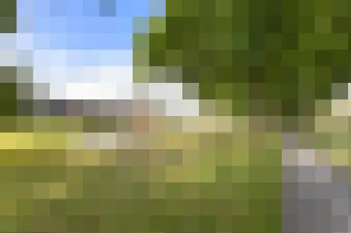 Hildebrandlaan 15 Haren Gn thumbnail 27