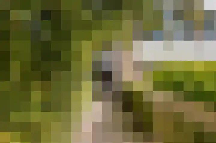 Hildebrandlaan 15 Haren Gn thumbnail 6