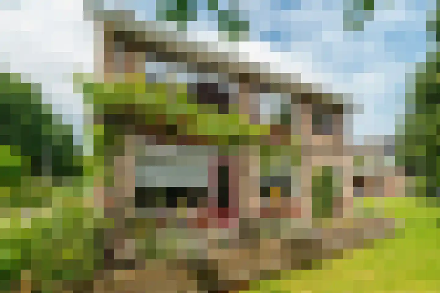 Hildebrandlaan 19 Haren Gn thumbnail 75