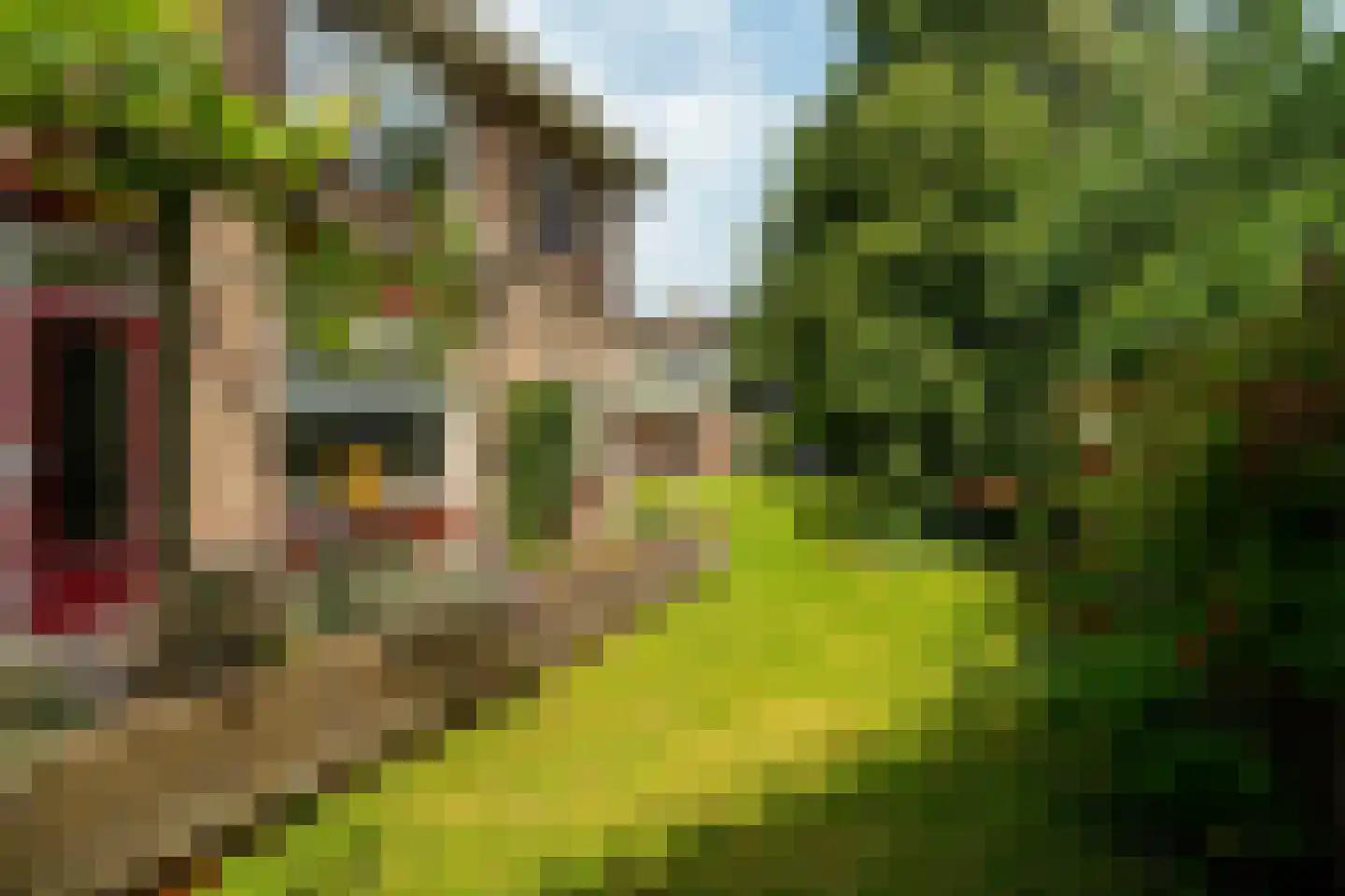 Hildebrandlaan 19 Haren Gn thumbnail 77