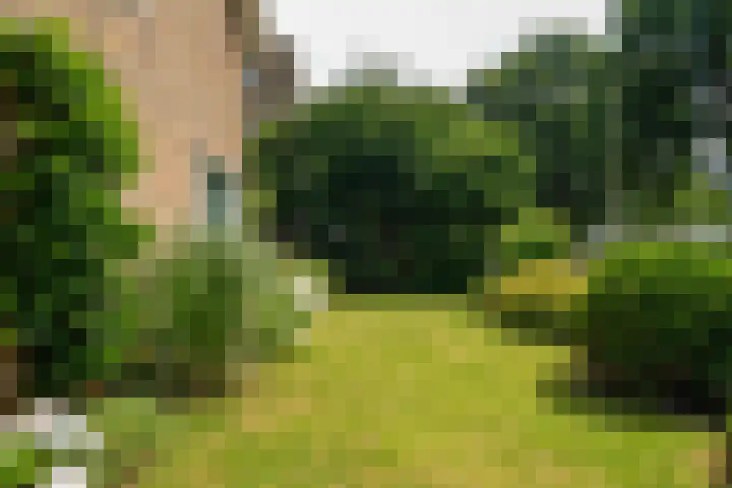 Hildebrandlaan 19 Haren Gn thumbnail 89