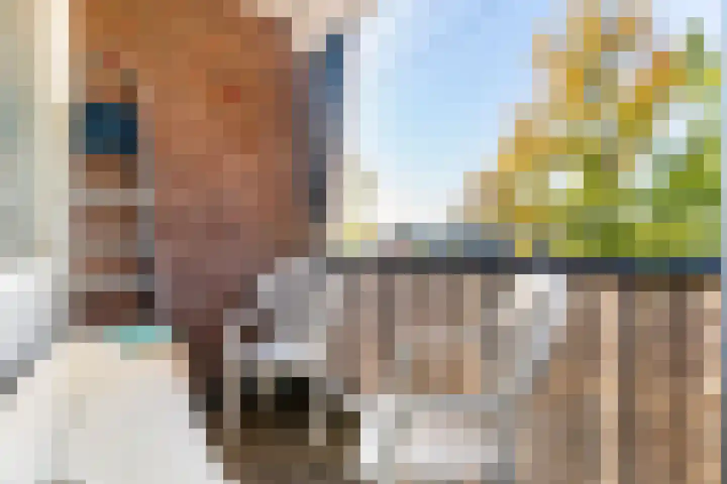 Hildebrandlaan 40 Oosterhout thumbnail 13