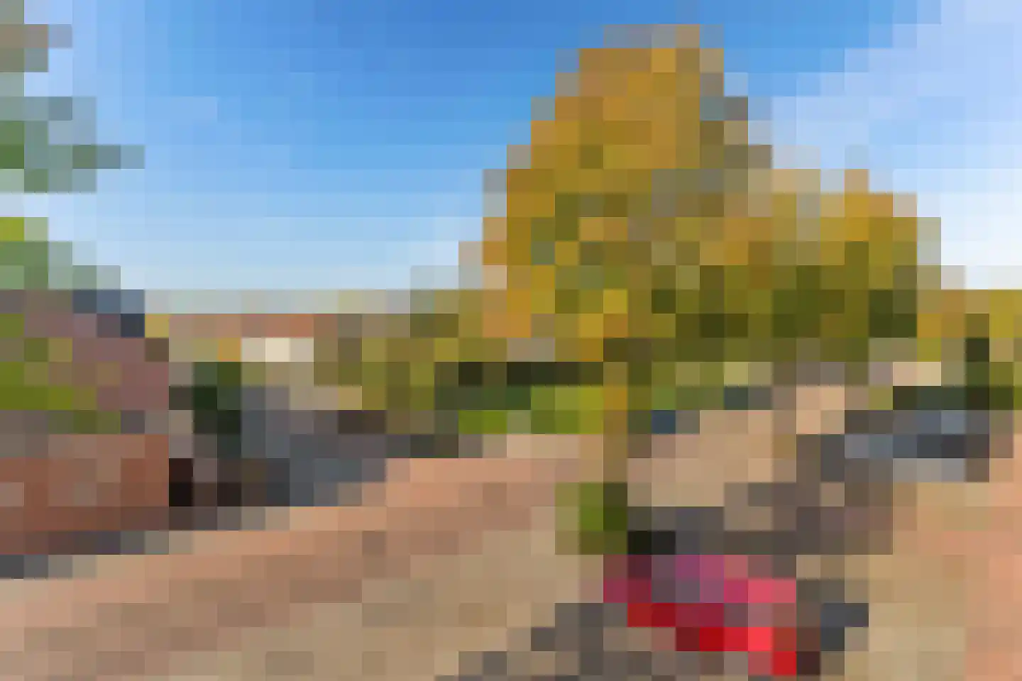 Hildebrandlaan 40 Oosterhout thumbnail 16