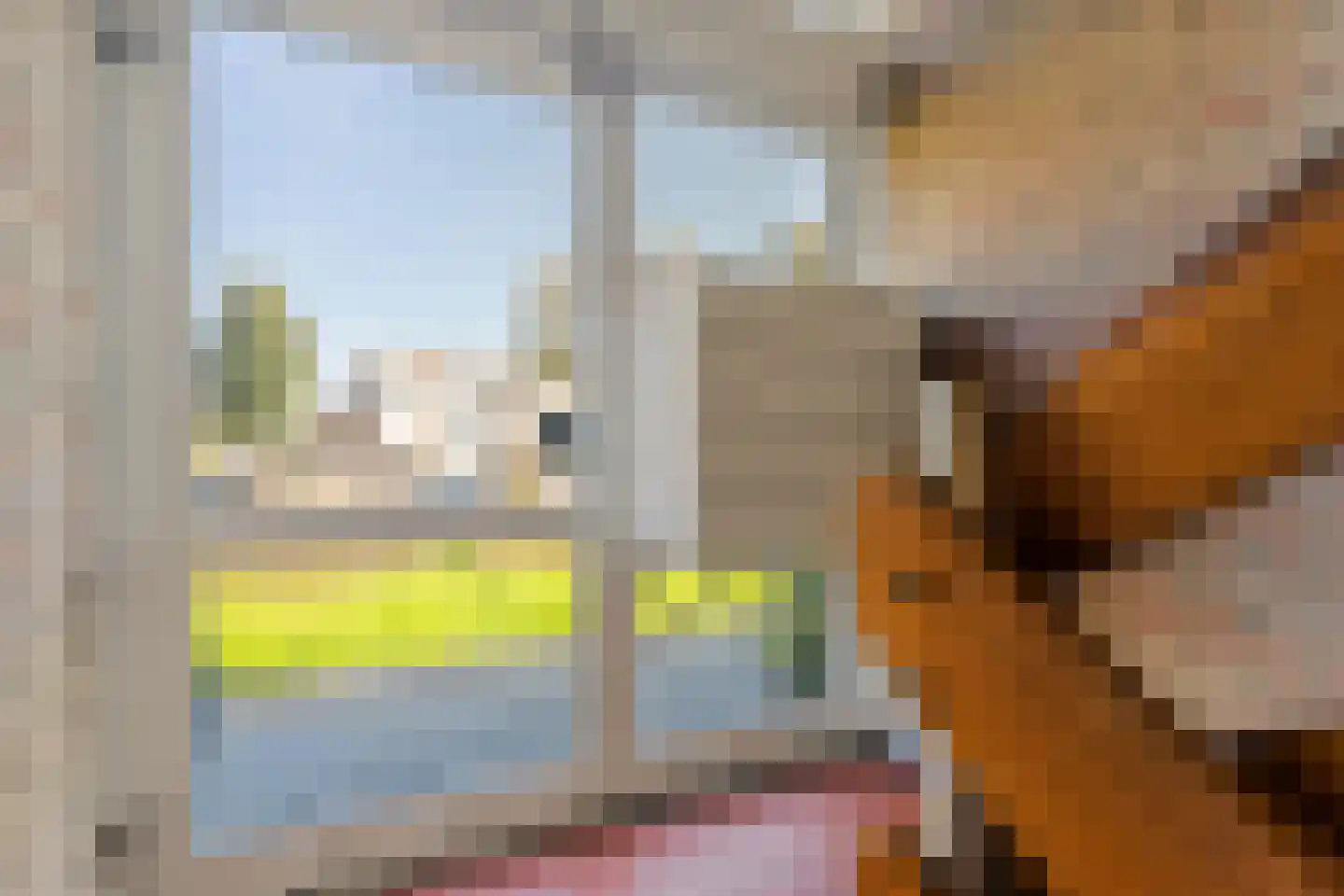 Hildebrandlaan 40 Oosterhout thumbnail 27