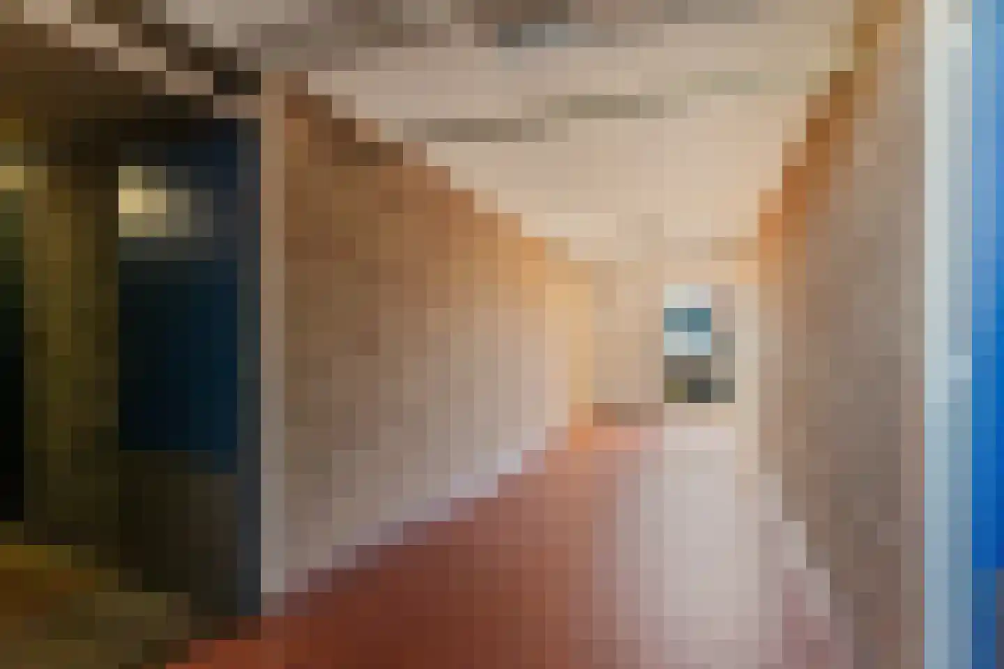 Hildebrandlaan 40 Oosterhout thumbnail 29