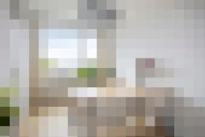 Hildebrandlaan 44 Oosterhout thumbnail 17