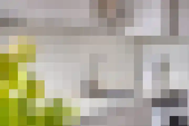 Hildebrandlaan 44 Oosterhout thumbnail 20