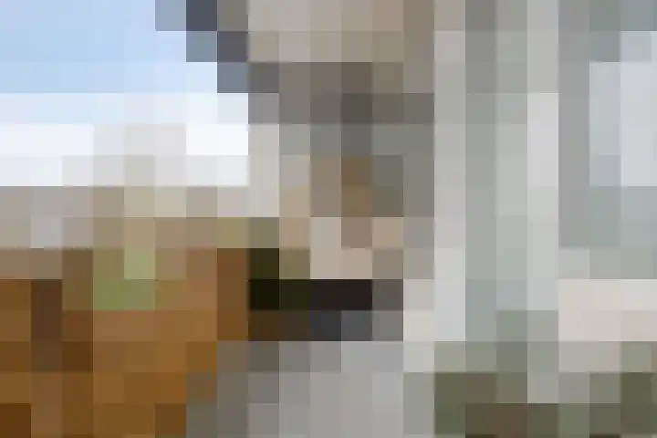 Hildebrandlaan 44 Oosterhout thumbnail 28