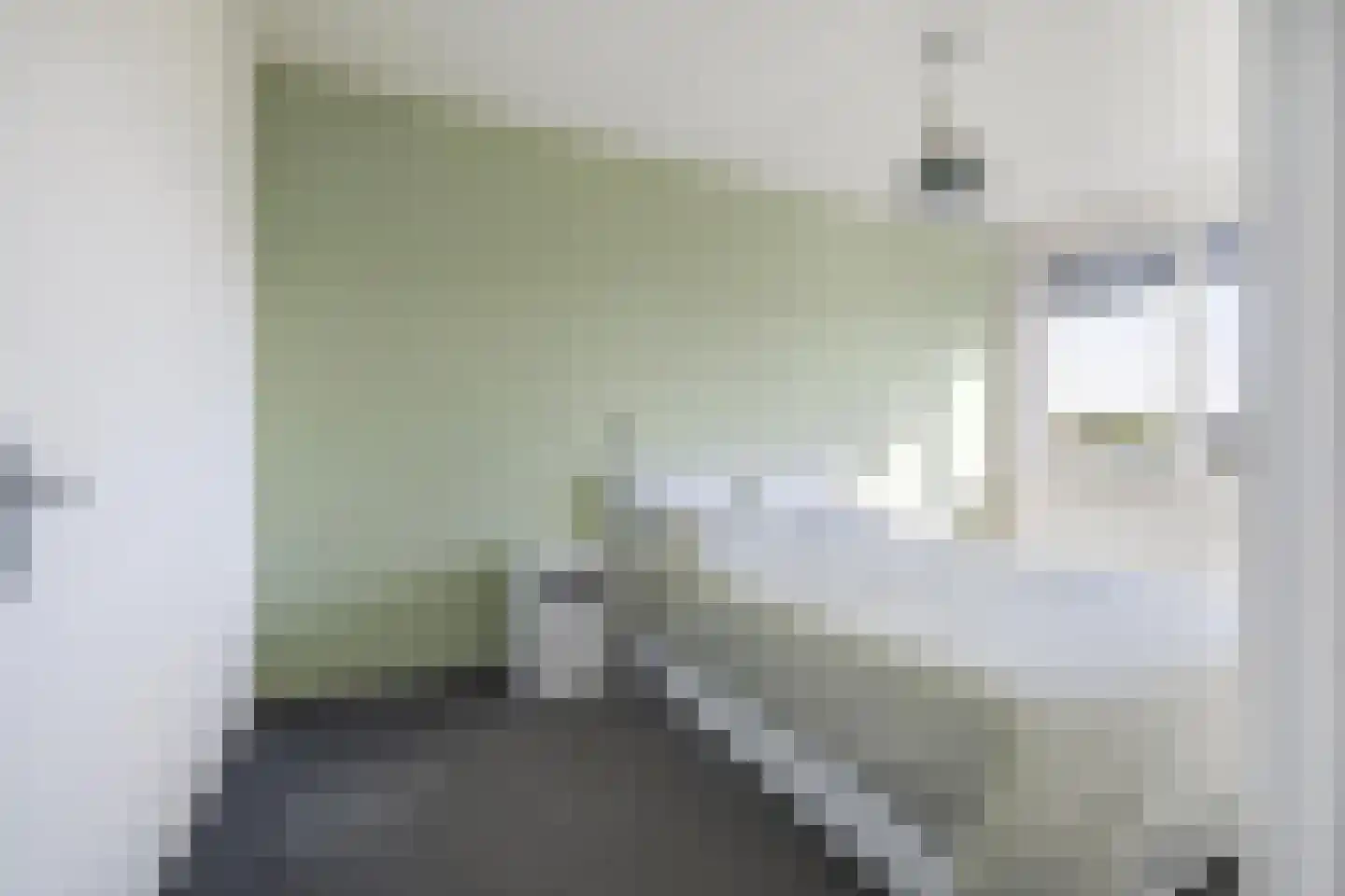 Hildebrandlaan 66 Oosterhout thumbnail 39
