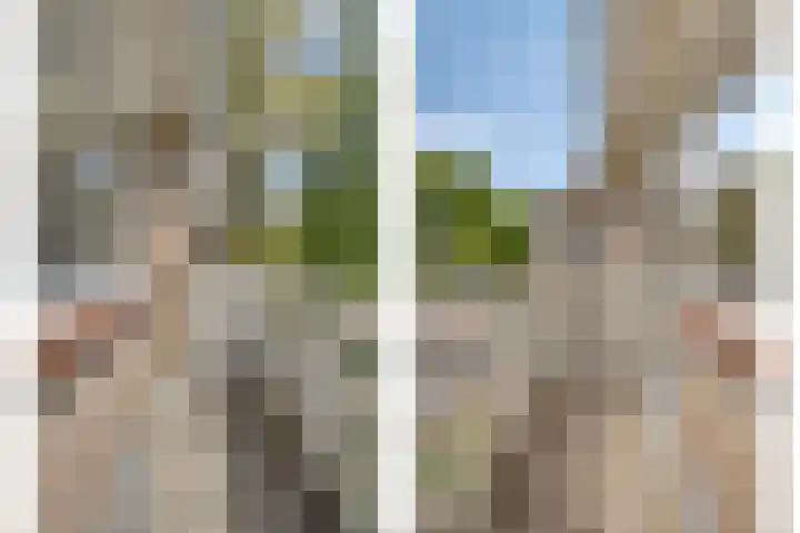Hildebrandstraat 10 Rosmalen thumbnail 21