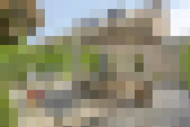 Hildebrandstraat 10 Rosmalen thumbnail 29