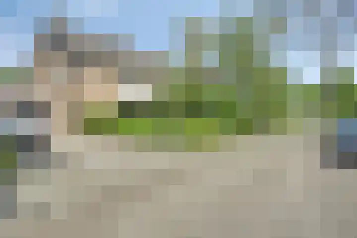 Hildebrandstraat 10 Rosmalen thumbnail 32