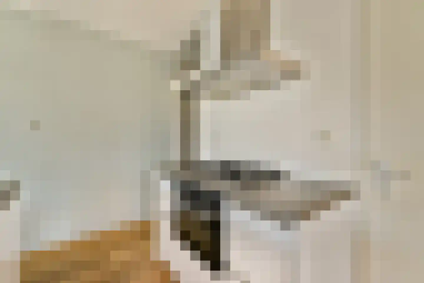 Hildebrandstraat 52 Amsterdam thumbnail 8