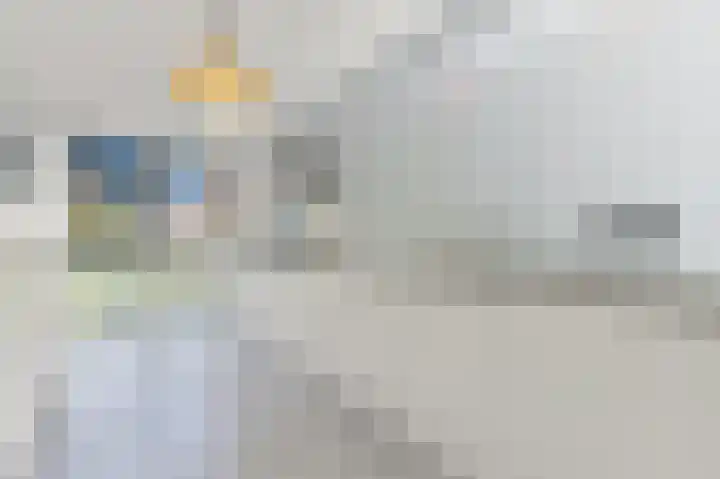 Hildegaarde 1 a Maasland thumbnail 10