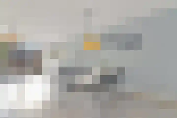 Hildegaarde 1 a Maasland thumbnail 12