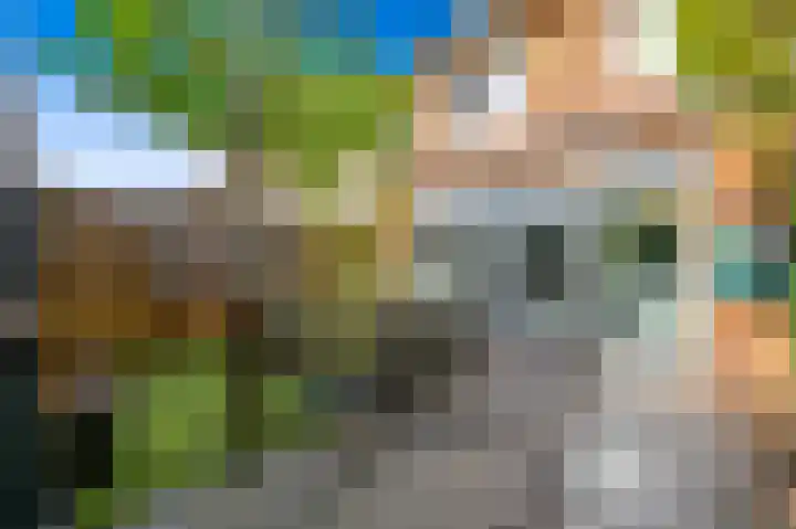 Hildegaarde 1 a Maasland thumbnail 14