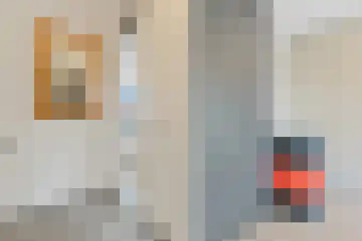 Hildegaarde 1 a Maasland thumbnail 23