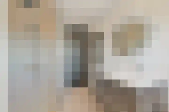 Hildegaarde 1 a Maasland thumbnail 25