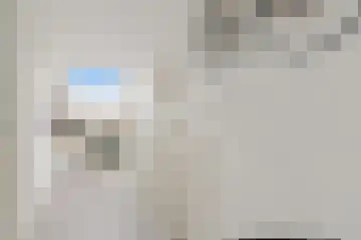 Hildegaarde 1 a Maasland thumbnail 32
