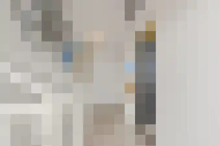 Hildegaarde 1 a Maasland thumbnail 33