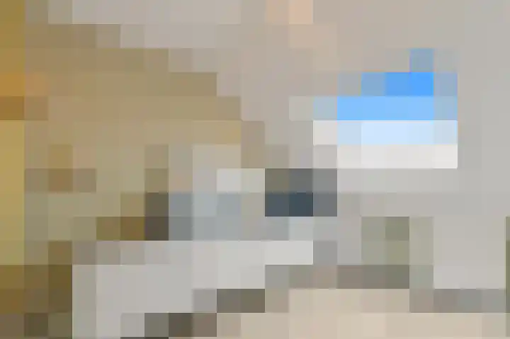 Hildegaarde 1 a Maasland thumbnail 39