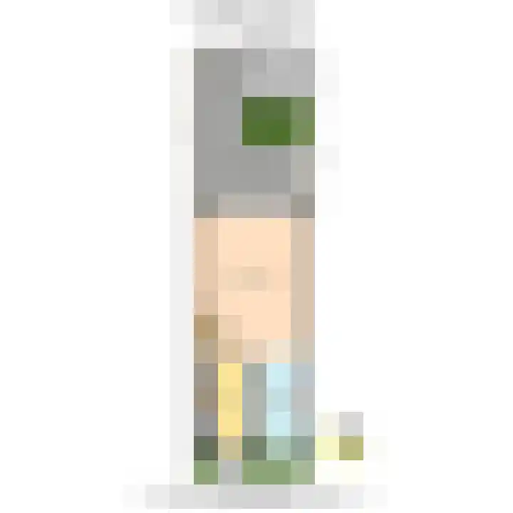 Hildegaarde 1 a Maasland thumbnail 43