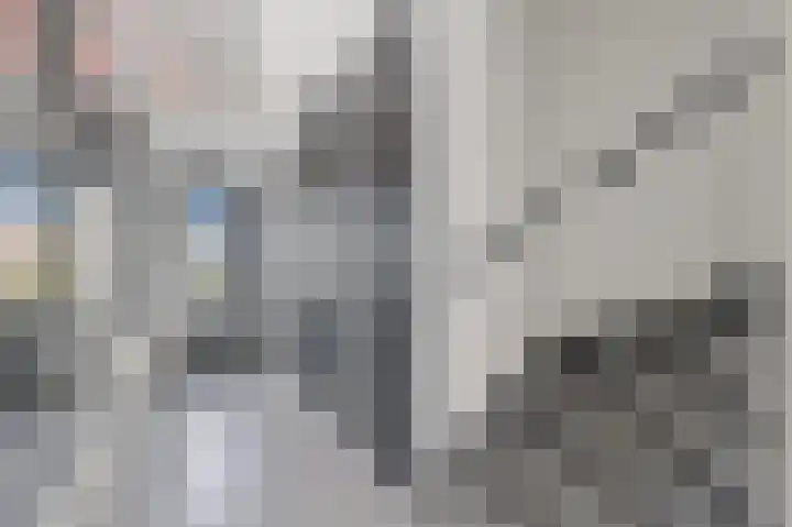 Hildegaarde 1 a Maasland thumbnail 6