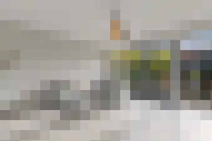Hildegaarde 1 a Maasland thumbnail 7