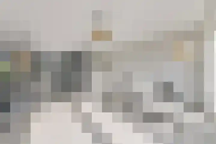 Hildegaarde 1 a Maasland thumbnail 8
