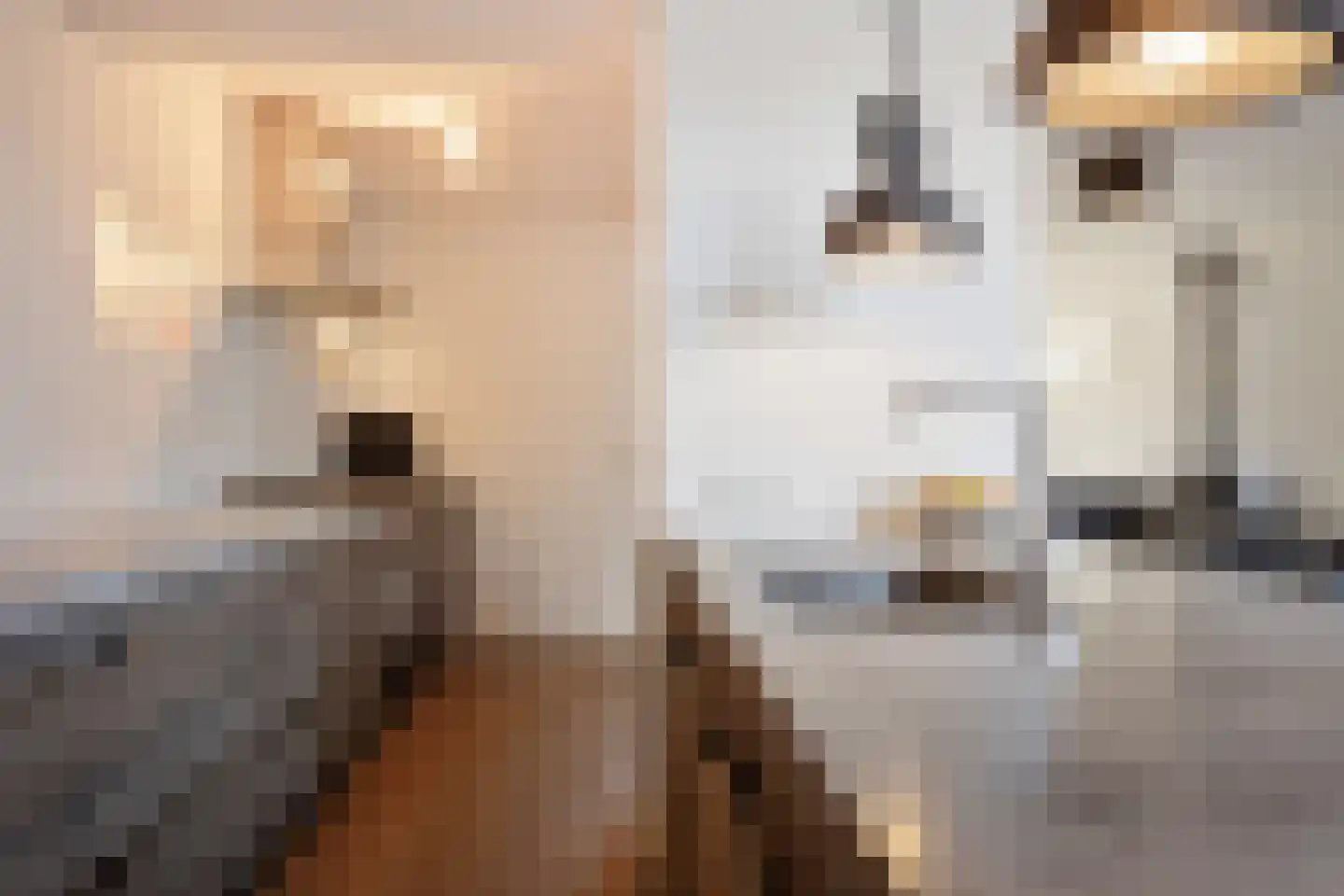 Hildegaarde 14 Maasland thumbnail 18