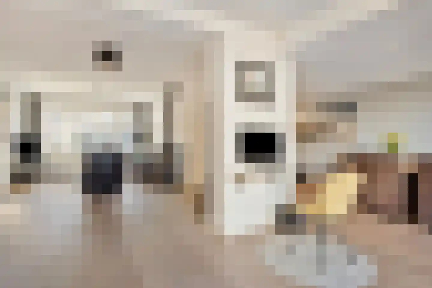Hildegaarde 14 Maasland thumbnail 19