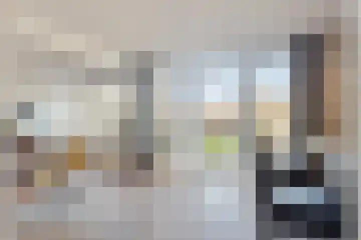 Hildegaarde 14 Maasland thumbnail 22