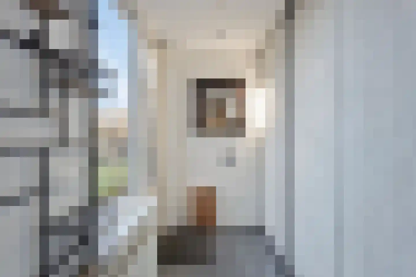 Hildegaarde 14 Maasland thumbnail 24