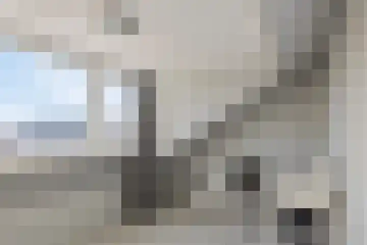 Hildegaarde 14 Maasland thumbnail 37