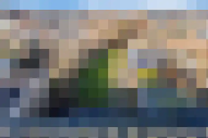 Hildegaarde 14 Maasland thumbnail 39