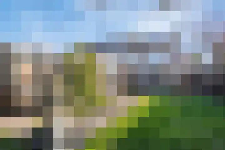 Hildegaarde 14 Maasland thumbnail 4