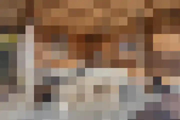 Hildegaarde 14 Maasland thumbnail 41