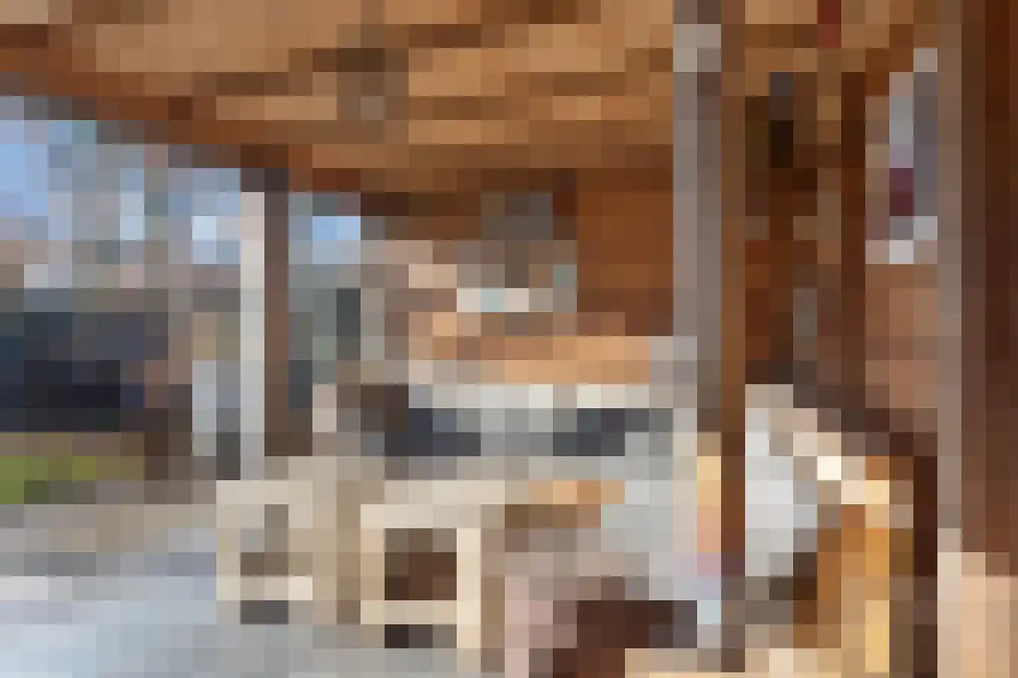 Hildegaarde 14 Maasland thumbnail 42