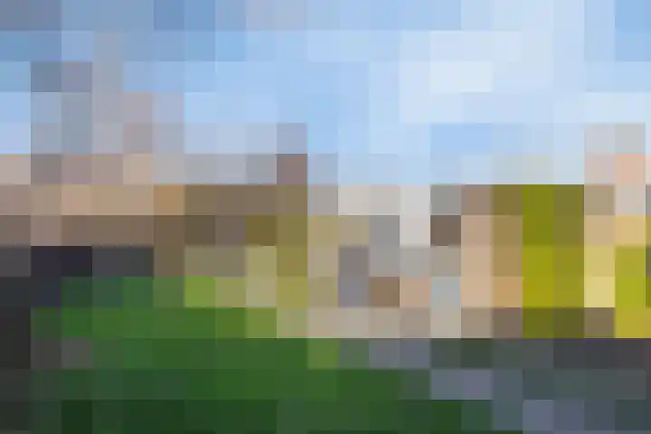 Hildegaarde 14 Maasland thumbnail 46