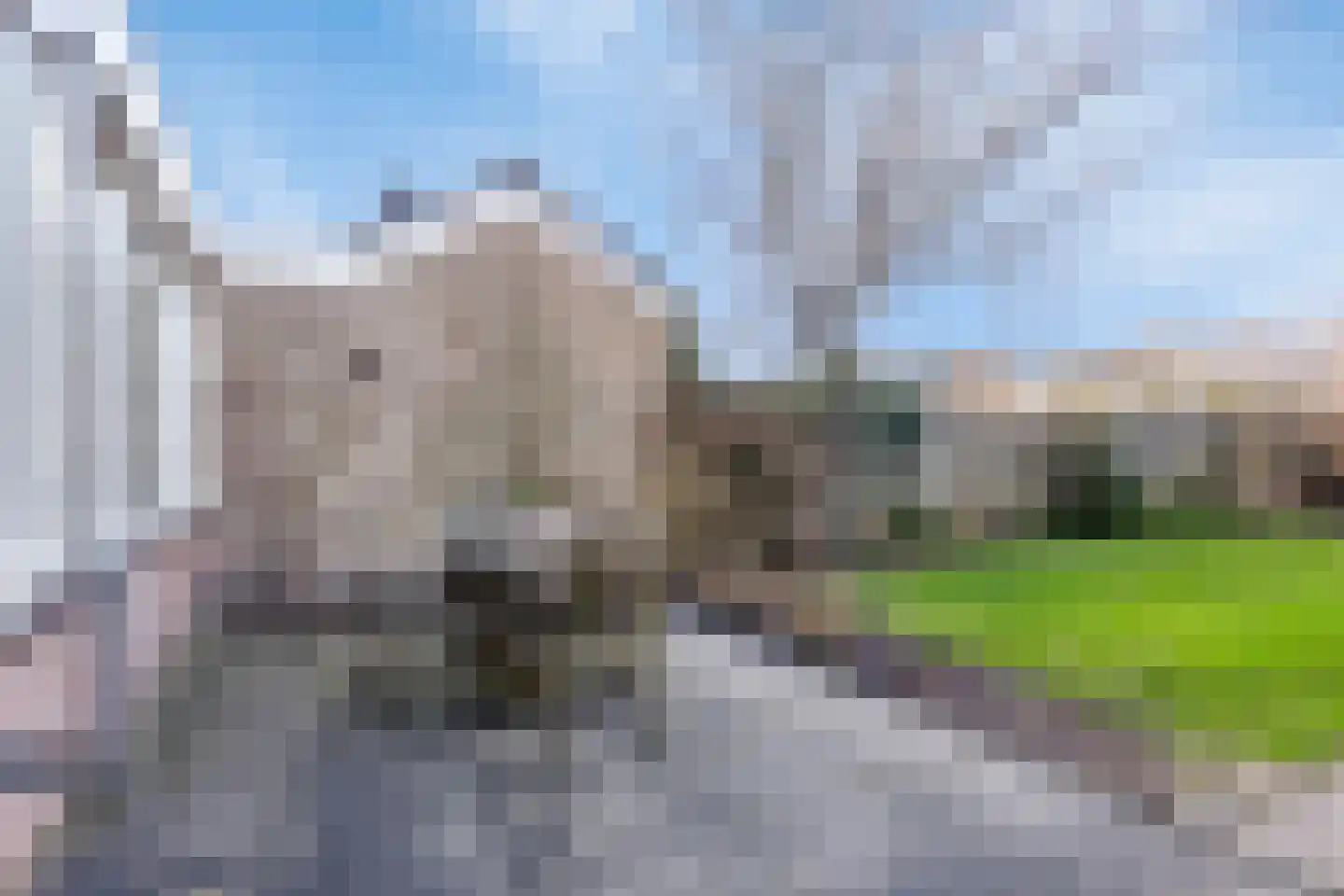 Hildegaarde 14 Maasland thumbnail 47