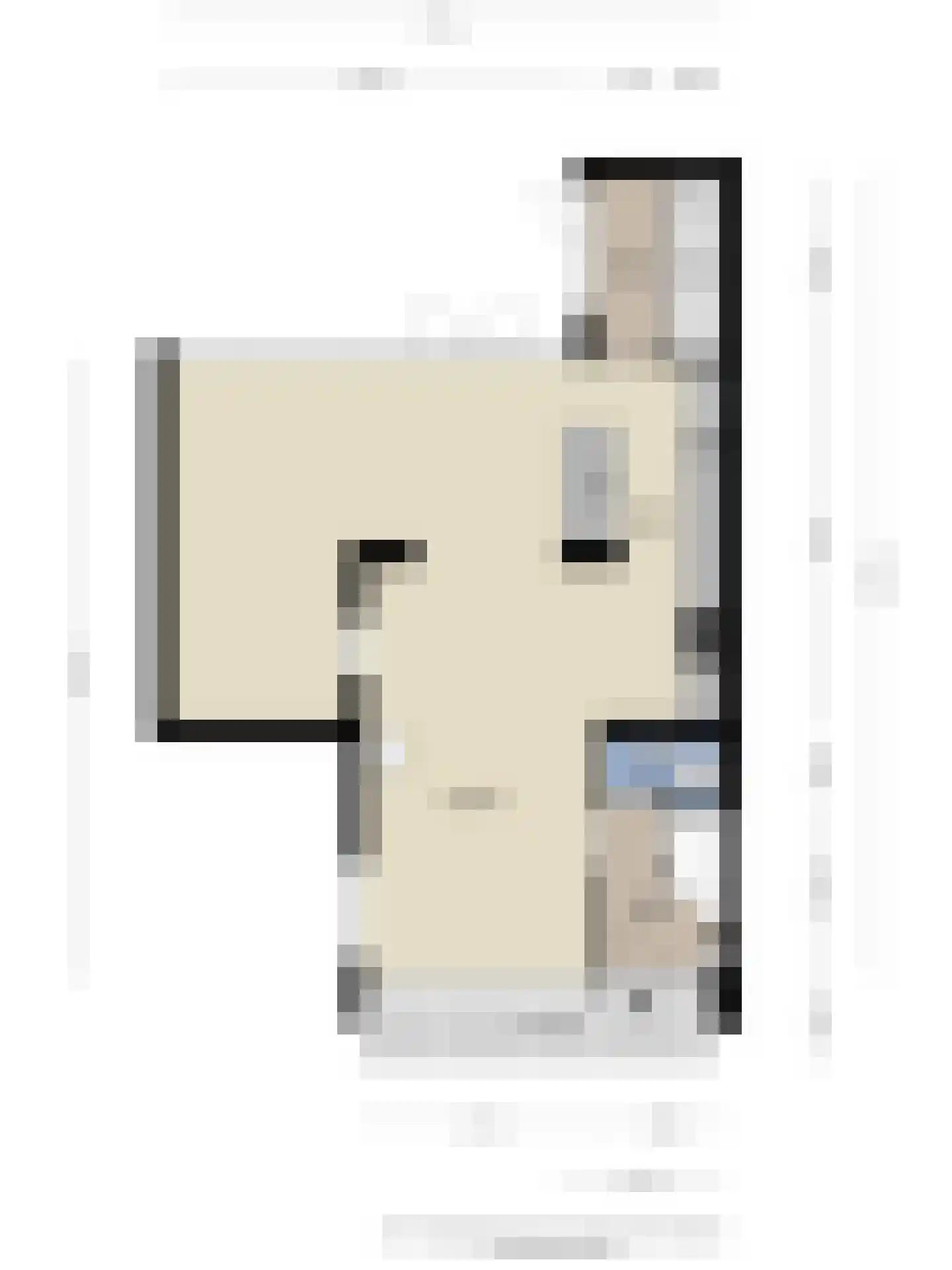 Hildegaarde 14 Maasland thumbnail 51
