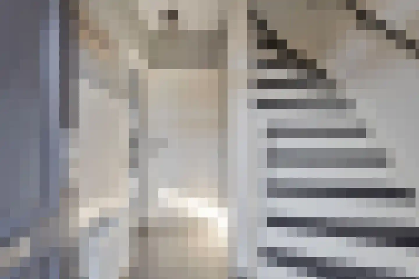 Hildegaarde 14 Maasland thumbnail 9