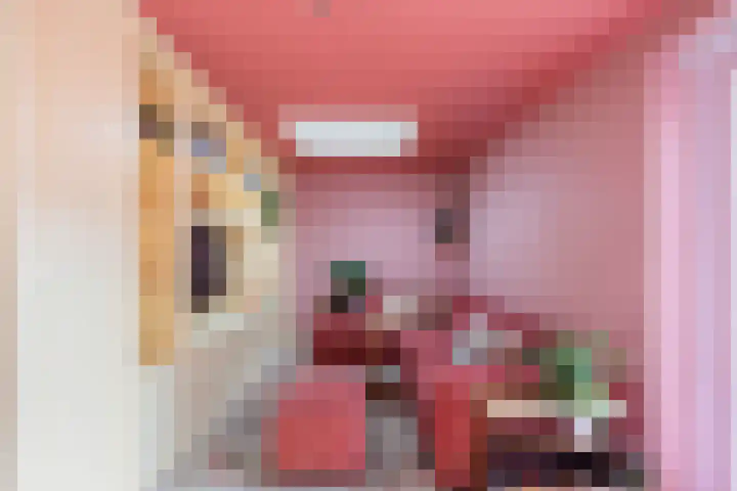 Hildegaarde 2 Maasland thumbnail 18