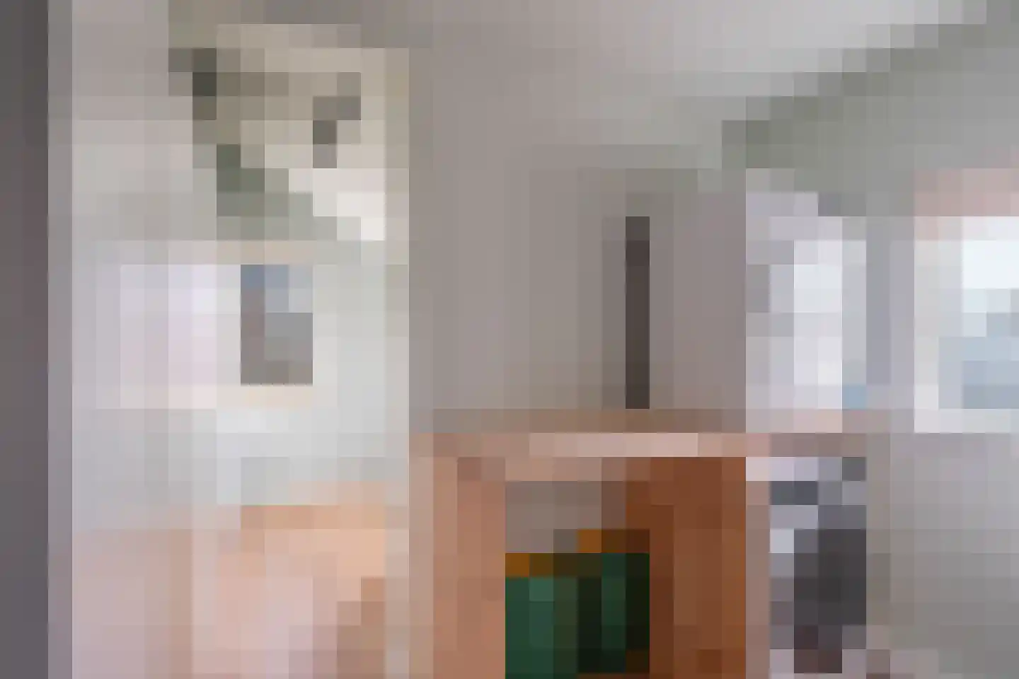 Hildegaarde 2 Maasland thumbnail 21