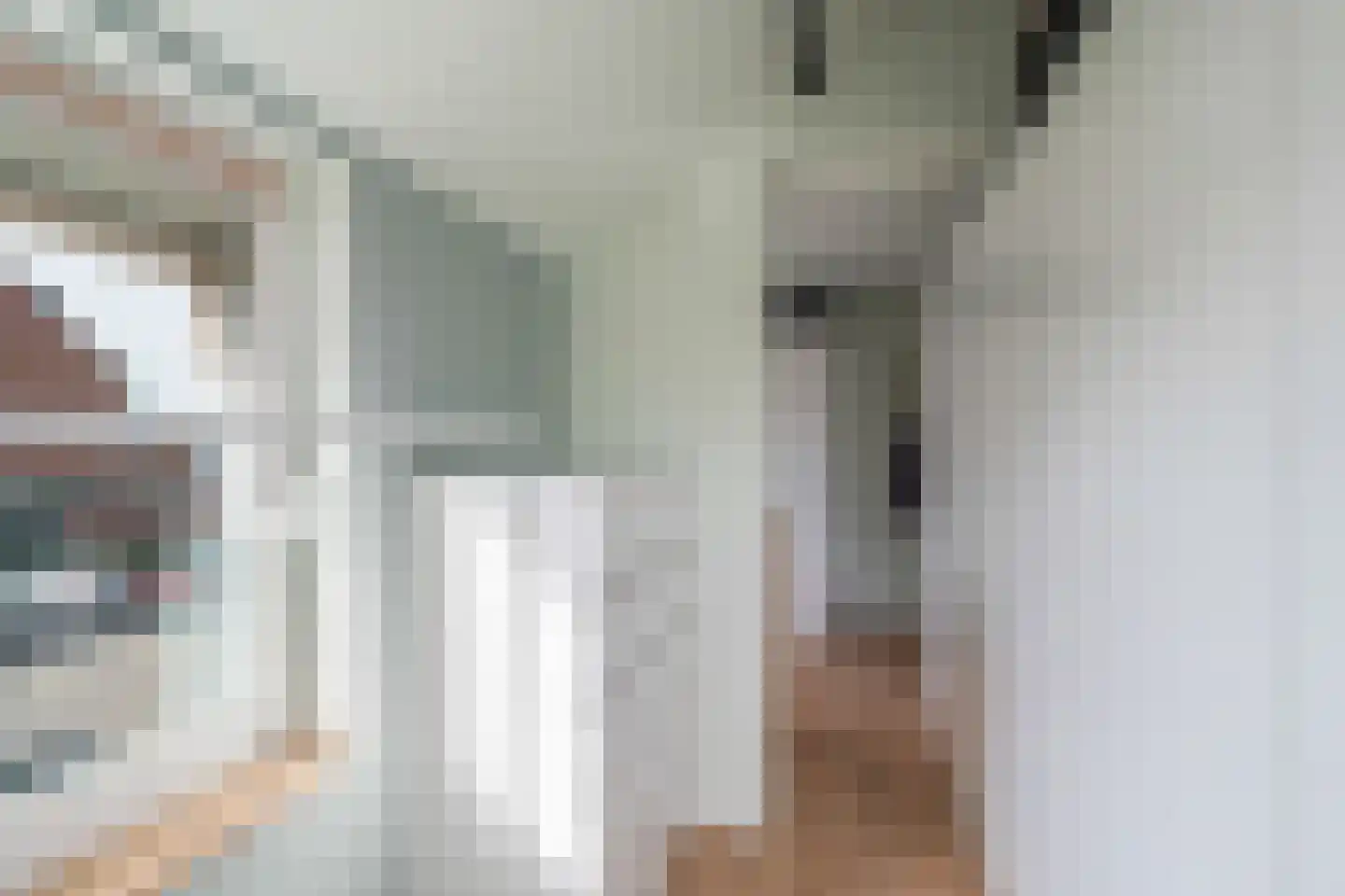 Hildegaarde 2 Maasland thumbnail 27