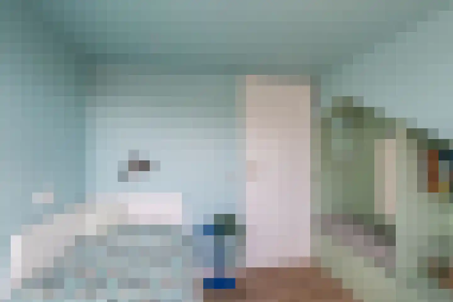 Hildegaarde 2 Maasland thumbnail 39