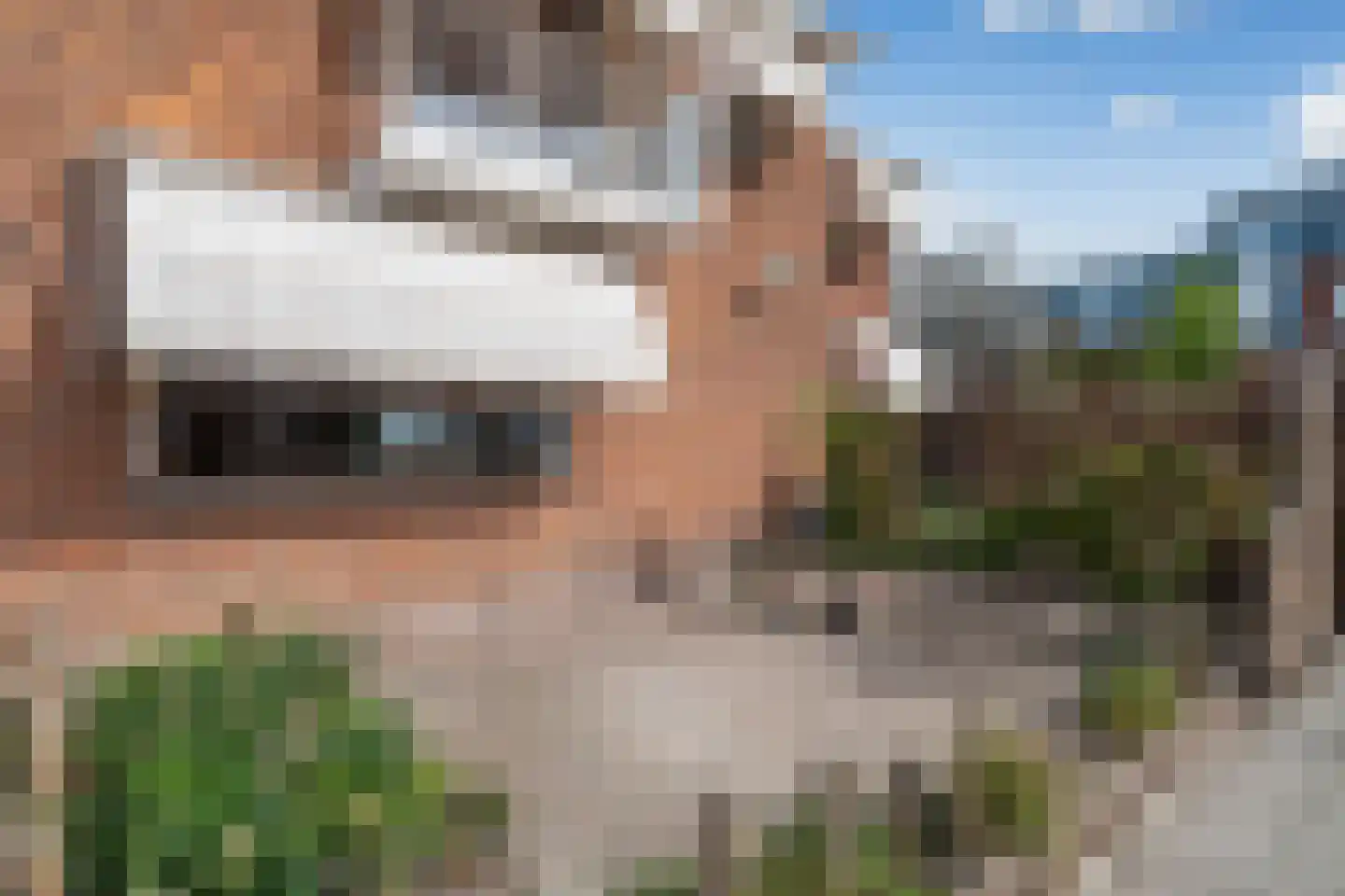 Hildegaarde 2 Maasland thumbnail 49