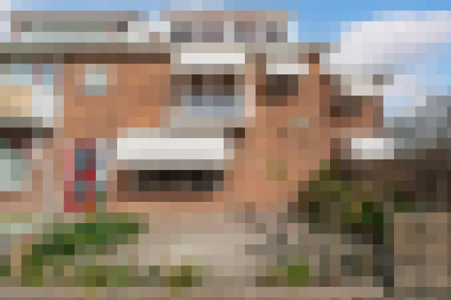 Hildegaarde 2 Maasland thumbnail 50