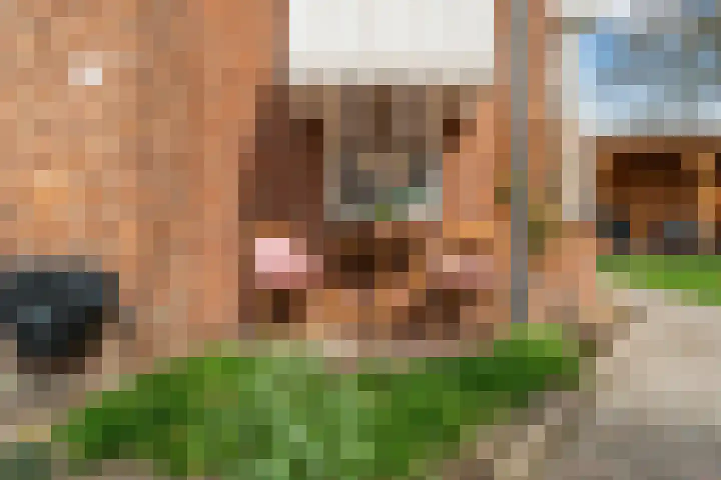 Hildegaarde 2 Maasland thumbnail 51