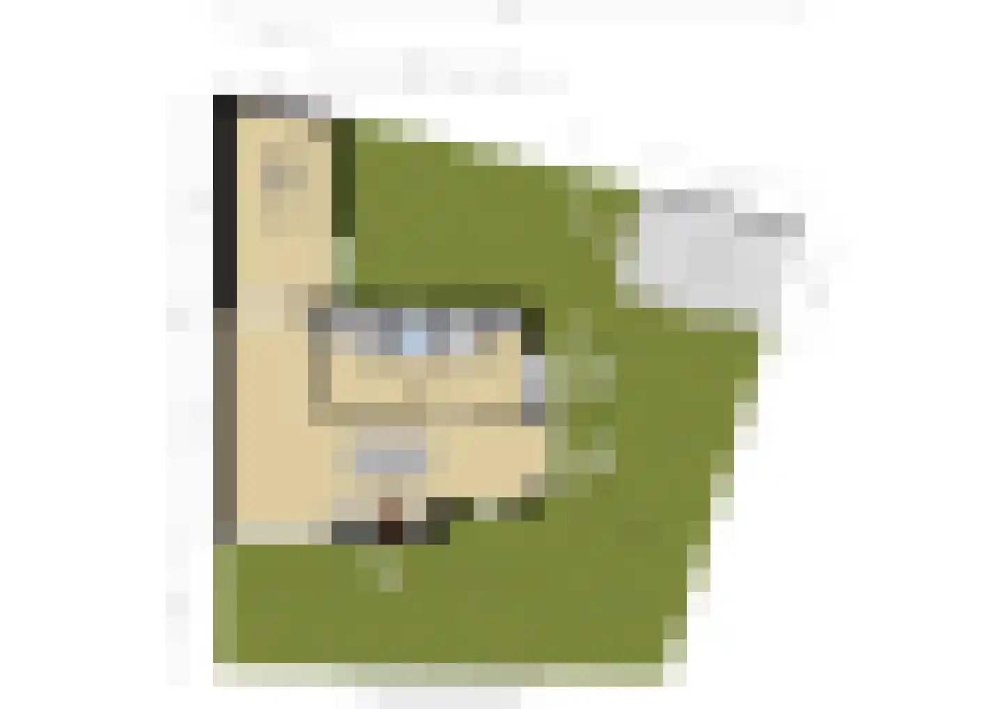 Hildegaarde 2 Maasland thumbnail 63